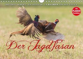 Emotionale Momente: Der Jagdfasan. (Wandkalender 2019 DIN A4 quer) von Gerlach,  Ingo