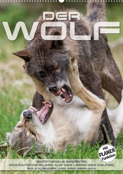 Emotionale Momente: Der Wolf. (Wandkalender 2023 DIN A2 hoch) von Gerlach,  Ingo