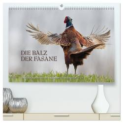 Emotionale Momente: Die Balz der Fasane / CH-Version (hochwertiger Premium Wandkalender 2024 DIN A2 quer), Kunstdruck in Hochglanz von Gerlach GDT,  Ingo