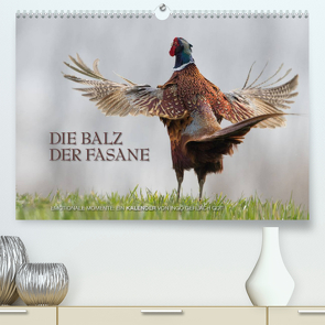 Emotionale Momente: Die Balz der Fasane / CH-Version (Premium, hochwertiger DIN A2 Wandkalender 2022, Kunstdruck in Hochglanz) von Gerlach GDT,  Ingo