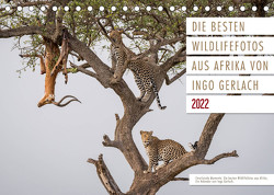 Emotionale Momente: Die besten Wildlifefotos aus Afrika. (Tischkalender 2022 DIN A5 quer) von Gerlach,  Ingo