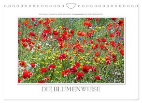 Emotionale Momente: Die Blumenwiese. (Wandkalender 2024 DIN A4 quer), CALVENDO Monatskalender von Gerlach GDT,  Ingo