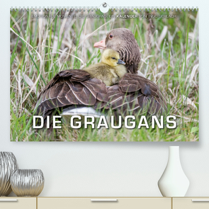 Emotionale Momente: Die Graugans. (Premium, hochwertiger DIN A2 Wandkalender 2023, Kunstdruck in Hochglanz) von Gerlach,  Ingo