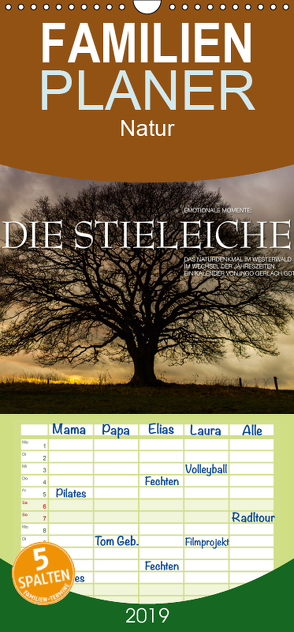 Emotionale Momente: Die Stieleiche – Familienplaner hoch (Wandkalender 2019 , 21 cm x 45 cm, hoch) von Gerlach GDT,  Ingo