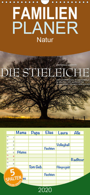 Emotionale Momente: Die Stieleiche – Familienplaner hoch (Wandkalender 2020 , 21 cm x 45 cm, hoch) von Gerlach GDT,  Ingo