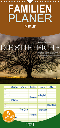 Emotionale Momente: Die Stieleiche – Familienplaner hoch (Wandkalender 2021 , 21 cm x 45 cm, hoch) von Gerlach GDT,  Ingo