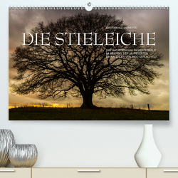 Emotionale Momente: Die Stieleiche (Premium, hochwertiger DIN A2 Wandkalender 2021, Kunstdruck in Hochglanz) von Gerlach GDT,  Ingo