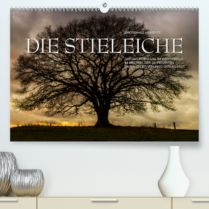 Emotionale Momente: Die Stieleiche (Premium, hochwertiger DIN A2 Wandkalender 2021, Kunstdruck in Hochglanz) von Gerlach GDT,  Ingo