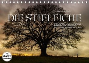 Emotionale Momente: Die Stieleiche (Tischkalender 2018 DIN A5 quer) von Gerlach GDT,  Ingo