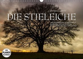 Emotionale Momente: Die Stieleiche (Wandkalender 2018 DIN A3 quer) von Gerlach GDT,  Ingo