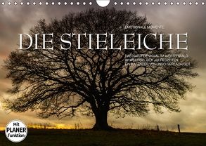 Emotionale Momente: Die Stieleiche (Wandkalender 2018 DIN A4 quer) von Gerlach GDT,  Ingo