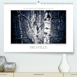 Emotionale Momente: Die Stille. / CH-Version (Premium, hochwertiger DIN A2 Wandkalender 2020, Kunstdruck in Hochglanz) von Gerlach GDT,  Ingo