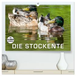 Emotionale Momente: Die Stockente. (hochwertiger Premium Wandkalender 2024 DIN A2 quer), Kunstdruck in Hochglanz von Gerlach,  Ingo