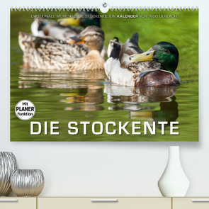 Emotionale Momente: Die Stockente. (Premium, hochwertiger DIN A2 Wandkalender 2023, Kunstdruck in Hochglanz) von Gerlach,  Ingo