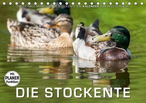 Emotionale Momente: Die Stockente. (Tischkalender 2019 DIN A5 quer) von Gerlach,  Ingo