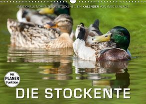 Emotionale Momente: Die Stockente. (Wandkalender 2018 DIN A3 quer) von Gerlach,  Ingo