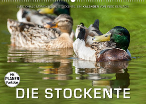 Emotionale Momente: Die Stockente. (Wandkalender 2023 DIN A2 quer) von Gerlach,  Ingo