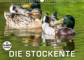 Emotionale Momente: Die Stockente. (Wandkalender 2023 DIN A3 quer) von Gerlach,  Ingo