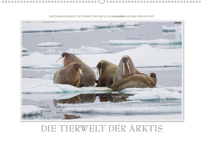 Emotionale Momente: Die Tierwelt der Arktis / CH-Version (Wandkalender 2021 DIN A2 quer) von Gerlach GDT,  Ingo
