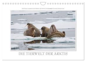 Emotionale Momente: Die Tierwelt der Arktis / CH-Version (Wandkalender 2024 DIN A4 quer), CALVENDO Monatskalender von Gerlach GDT,  Ingo
