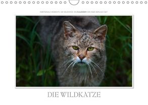 Emotionale Momente: Die Wildkatze. / CH-Version (Wandkalender 2018 DIN A4 quer) von Gerlach GDT,  Ingo