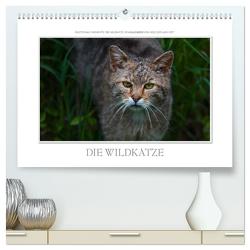 Emotionale Momente: Die Wildkatze. (hochwertiger Premium Wandkalender 2024 DIN A2 quer), Kunstdruck in Hochglanz von Gerlach GDT,  Ingo