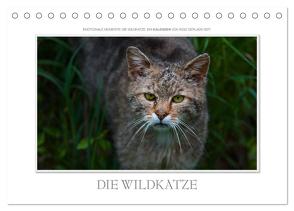 Emotionale Momente: Die Wildkatze. (Tischkalender 2024 DIN A5 quer), CALVENDO Monatskalender von Gerlach GDT,  Ingo