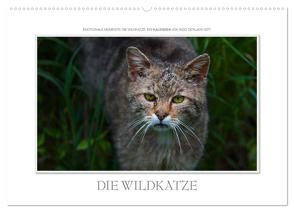 Emotionale Momente: Die Wildkatze. (Wandkalender 2024 DIN A2 quer), CALVENDO Monatskalender von Gerlach GDT,  Ingo