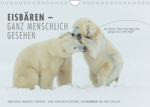 Emotionale Momente: Eisbären – ganz menschlich gesehen. (Wandkalender 2023 DIN A4 quer) von Gerlach,  Ingo