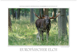 Emotionale Momente: Europäischer Elch. (Wandkalender 2023 DIN A2 quer) von Gerlach GDT,  Ingo