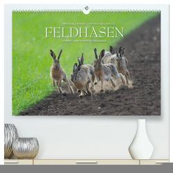 Emotionale Momente: Feldhasen (hochwertiger Premium Wandkalender 2024 DIN A2 quer), Kunstdruck in Hochglanz von Gerlach GDT,  Ingo
