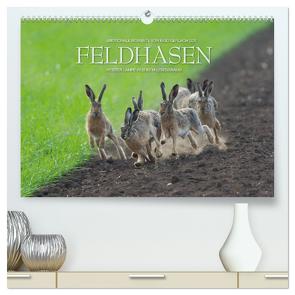 Emotionale Momente: Feldhasen (hochwertiger Premium Wandkalender 2024 DIN A2 quer), Kunstdruck in Hochglanz von Gerlach GDT,  Ingo