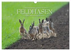 Emotionale Momente: Feldhasen (Wandkalender 2024 DIN A3 quer), CALVENDO Monatskalender von Gerlach GDT,  Ingo