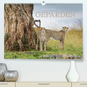 Emotionale Momente: Geparden (Premium, hochwertiger DIN A2 Wandkalender 2021, Kunstdruck in Hochglanz) von Gerlach GDT,  Ingo