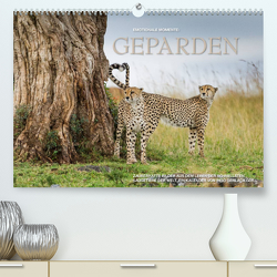 Emotionale Momente: Geparden (Premium, hochwertiger DIN A2 Wandkalender 2023, Kunstdruck in Hochglanz) von Gerlach GDT,  Ingo