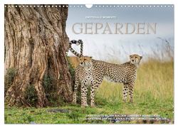 Emotionale Momente: Geparden (Wandkalender 2024 DIN A3 quer), CALVENDO Monatskalender von Gerlach GDT,  Ingo