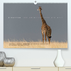 Emotionale Momente: Giraffen, die höchsten Tiere der Welt. (Premium, hochwertiger DIN A2 Wandkalender 2023, Kunstdruck in Hochglanz) von Gerlach,  Ingo