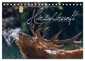 Emotionale Momente: Hirschbrunft (Tischkalender 2024 DIN A5 quer), CALVENDO Monatskalender von Gerlach GDT,  Ingo
