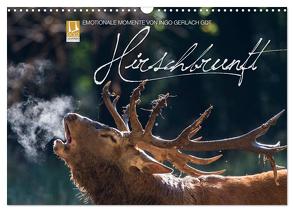 Emotionale Momente: Hirschbrunft (Wandkalender 2024 DIN A3 quer), CALVENDO Monatskalender von Gerlach GDT,  Ingo