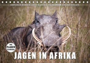 Emotionale Momente: Jagen in Afrika. (Tischkalender 2019 DIN A5 quer) von Gerlach,  Ingo