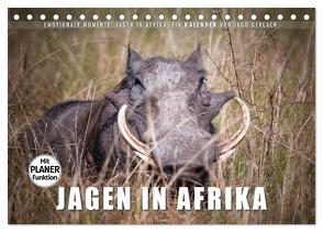 Emotionale Momente: Jagen in Afrika. (Tischkalender 2024 DIN A5 quer), CALVENDO Monatskalender von Gerlach,  Ingo