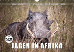 Emotionale Momente: Jagen in Afrika. (Wandkalender 2018 DIN A3 quer) von Gerlach,  Ingo