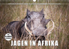Emotionale Momente: Jagen in Afrika. (Wandkalender 2023 DIN A3 quer) von Gerlach,  Ingo