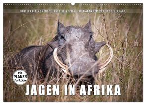Emotionale Momente: Jagen in Afrika. (Wandkalender 2024 DIN A2 quer), CALVENDO Monatskalender von Gerlach,  Ingo