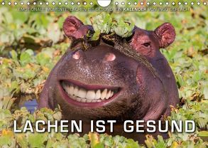 Emotionale Momente: Lachen ist gesund. (Wandkalender 2018 DIN A4 quer) von Gerlach,  Ingo