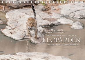 Emotionale Momente: Leoparden / CH-Version (Tischkalender 2019 DIN A5 quer) von Gerlach GDT,  Ingo