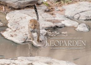 Emotionale Momente: Leoparden / CH-Version (Wandkalender 2019 DIN A2 quer) von Gerlach GDT,  Ingo