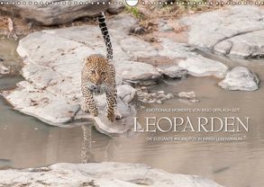 Emotionale Momente: Leoparden / CH-Version (Wandkalender 2019 DIN A3 quer) von Gerlach GDT,  Ingo