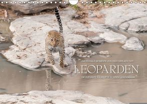 Emotionale Momente: Leoparden (Wandkalender 2018 DIN A4 quer) von Gerlach GDT,  Ingo