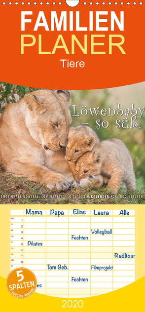 Emotionale Momente: Löwenbabys – so süß. – Familienplaner hoch (Wandkalender 2020 , 21 cm x 45 cm, hoch) von Gerlach,  Ingo
